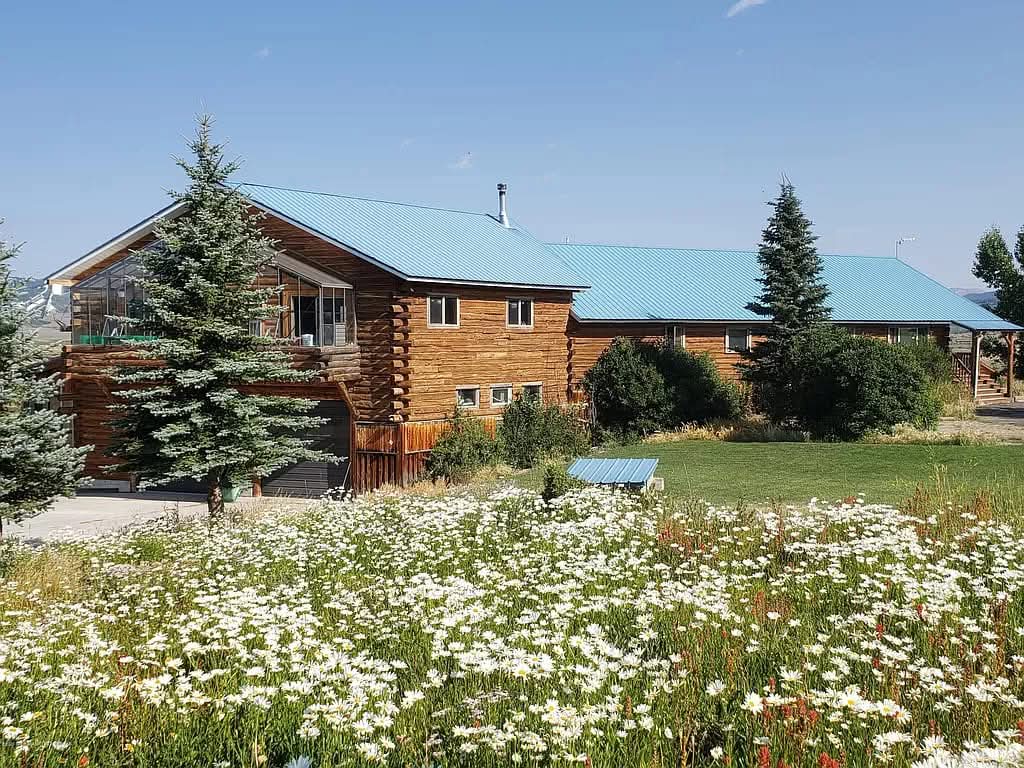 The Blossom Ragdolls log home in summer, framed by a meadow of wildflowers