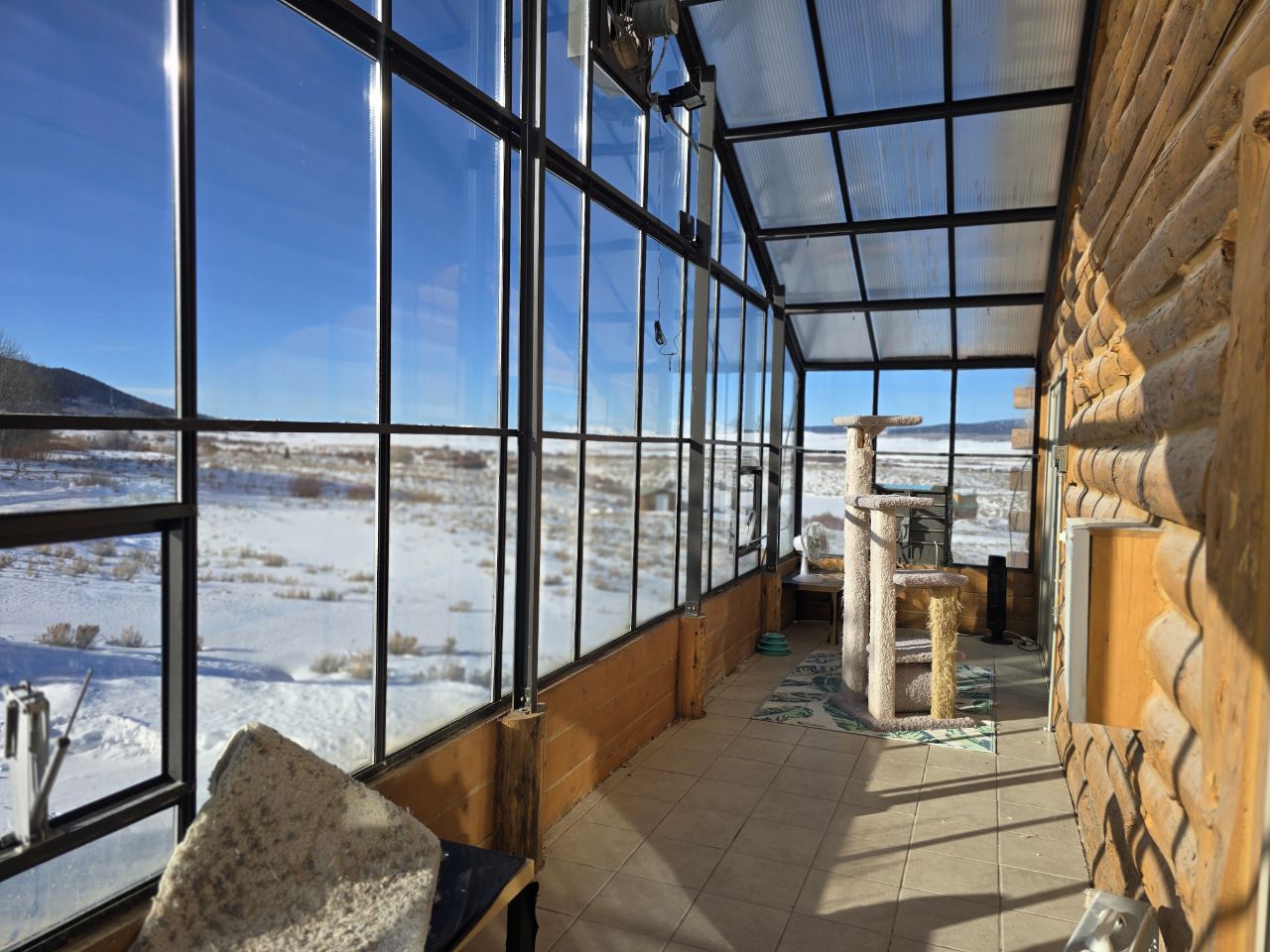 The long view down the solarium with a cat tree and snow-covered prairie beyond the glass