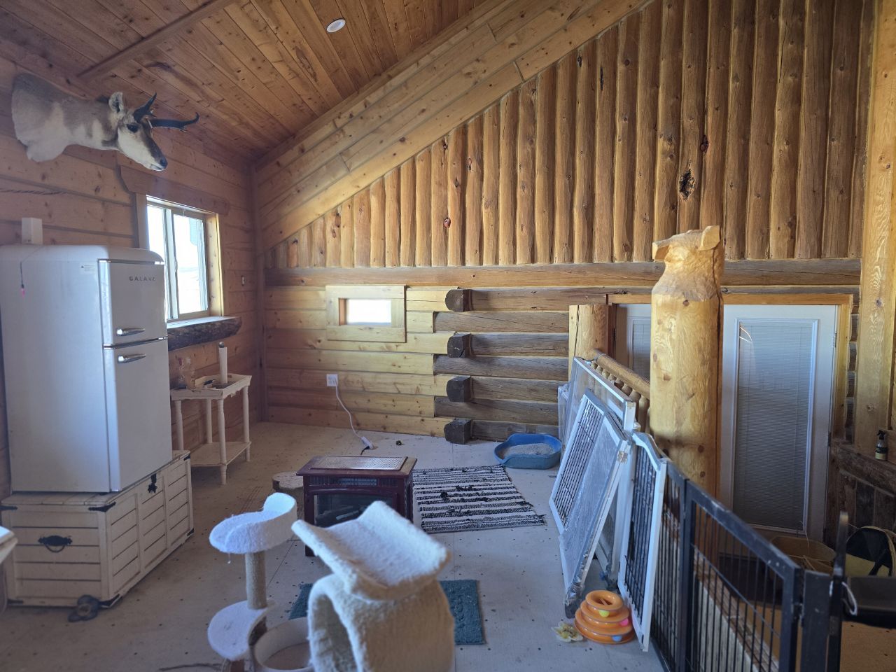 An interior cat suite with cat trees, a low entry gate, and a small refrigerator for feeding