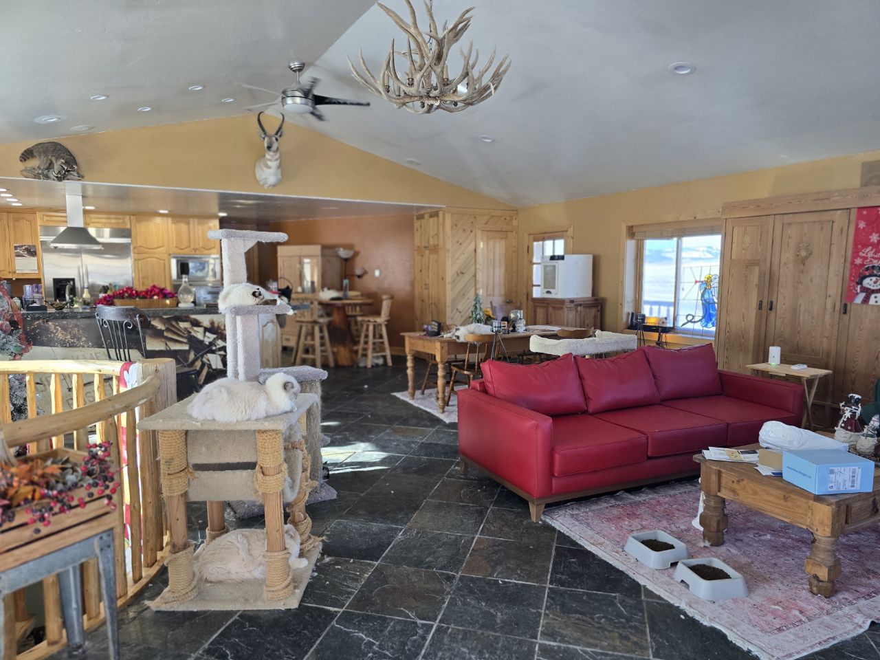 The main living room with red leather couch, antler chandelier, and cats on a tall cat tree
