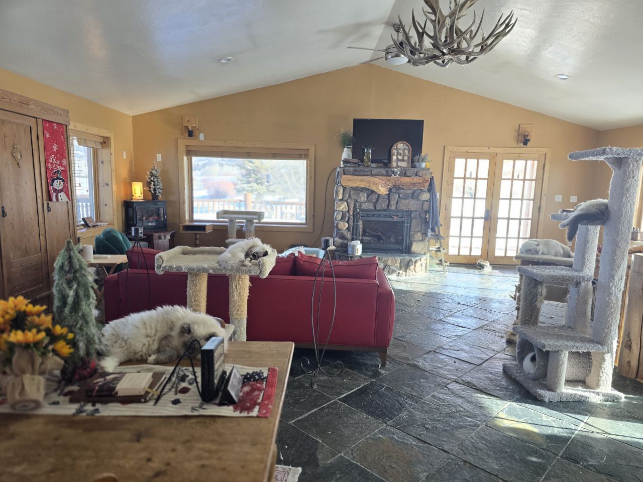 A Ragdoll napping on a cat tree beside the stone fireplace in the great room